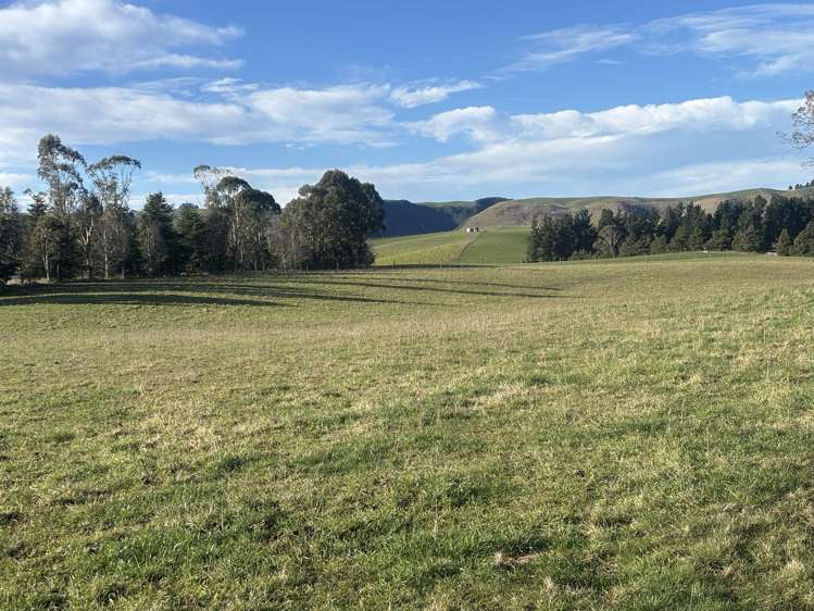 455 Albury Fairlie Road Mackenzie Country_20