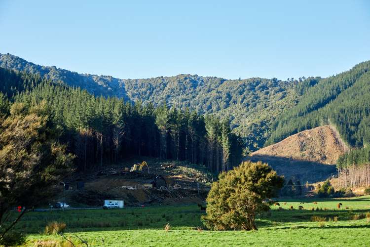 Crail Bay Kenepuru Sound_5