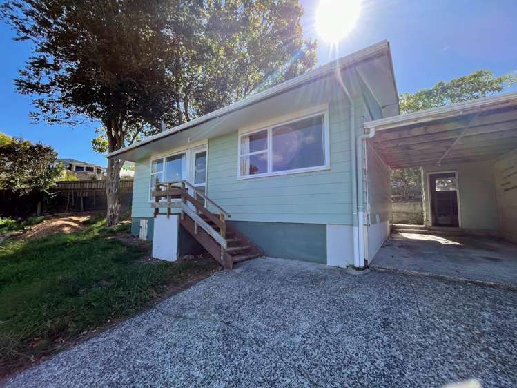 39B Heather Green Avenue Meremere_0