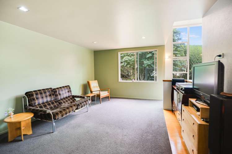 344 Tapu Coroglen Road Tapu_18