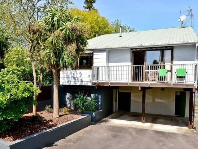 54 Hudson Street Riverlea_2