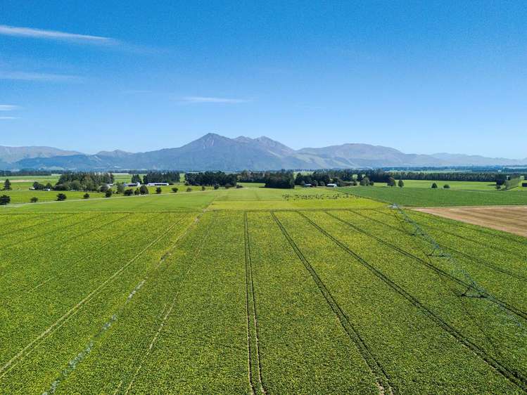 1710 Ealing Montalto Road Ashburton_7