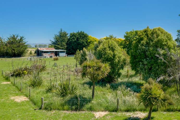 245 Hunter Road Tuamarina_21