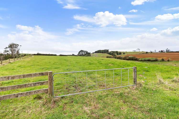 180 Andrews Road Onewhero_34