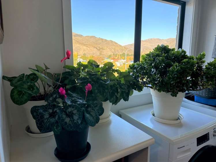 75a Inniscort Street Cromwell_20