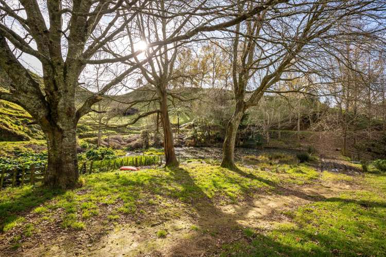 822 Motukawa Road Tarata_19