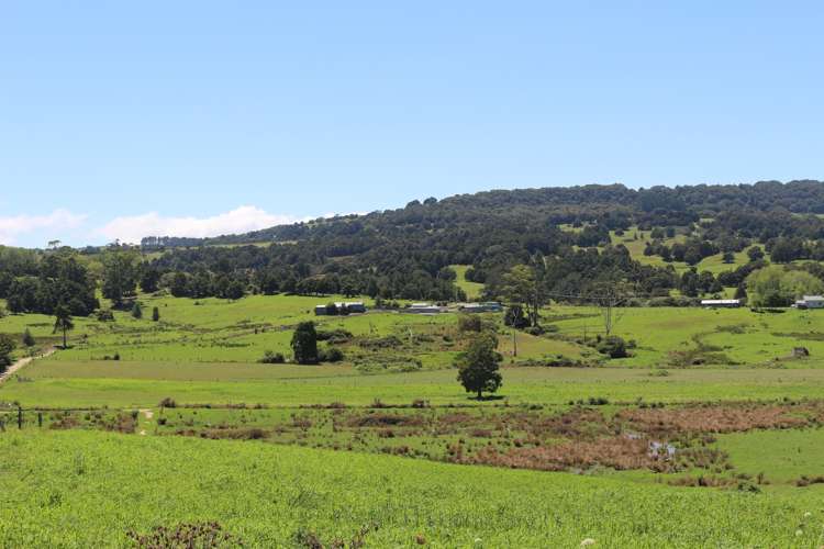 81 Ruapekapeka Road Towai_9