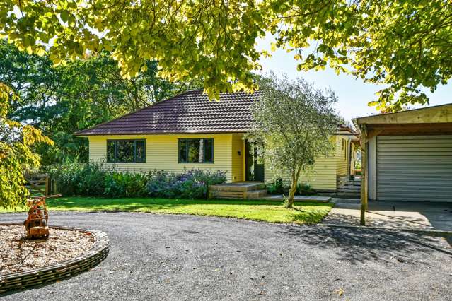 91 Te Ahu Road Pukekawa_1