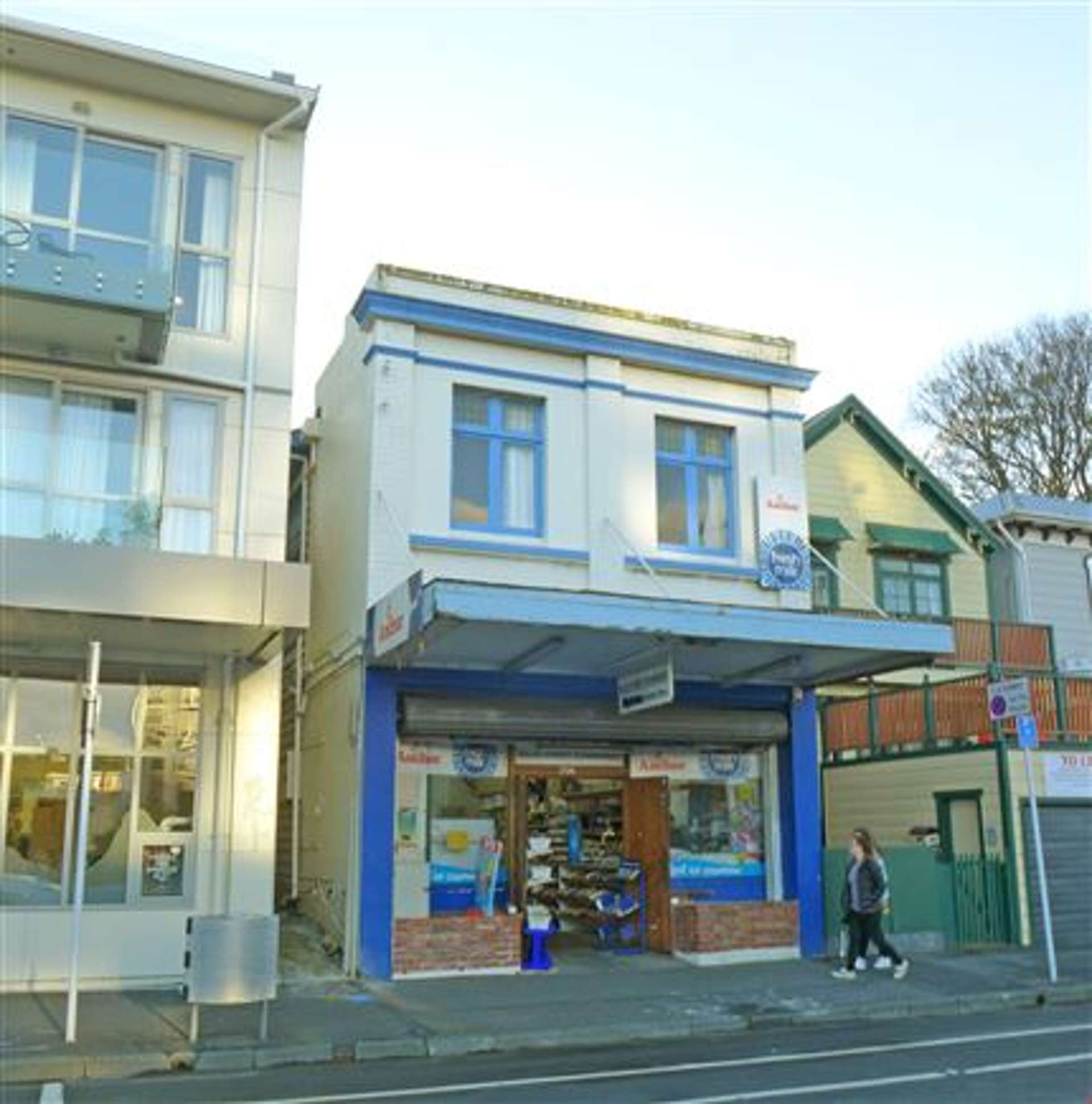 294 Willis Street Aro Valley_0