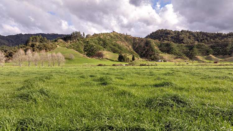 956 Otara Road Opotiki_11