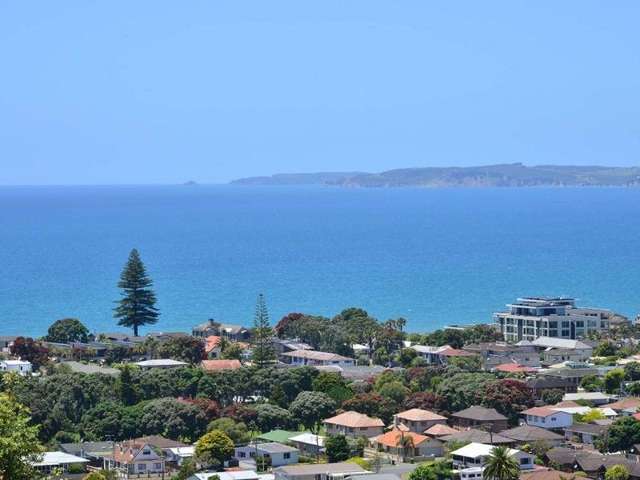 8 Savoy Road Orewa_1