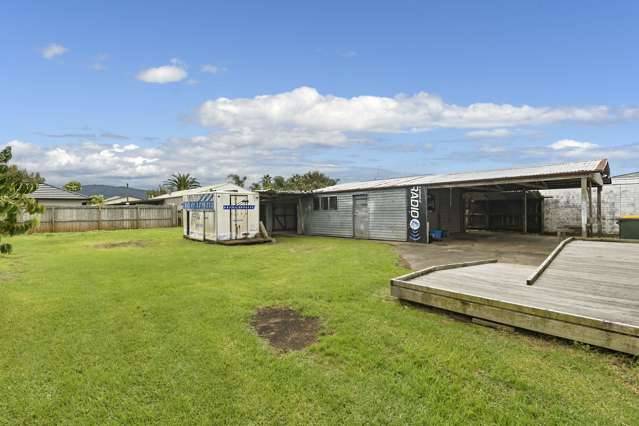 88 Park Road Katikati_3