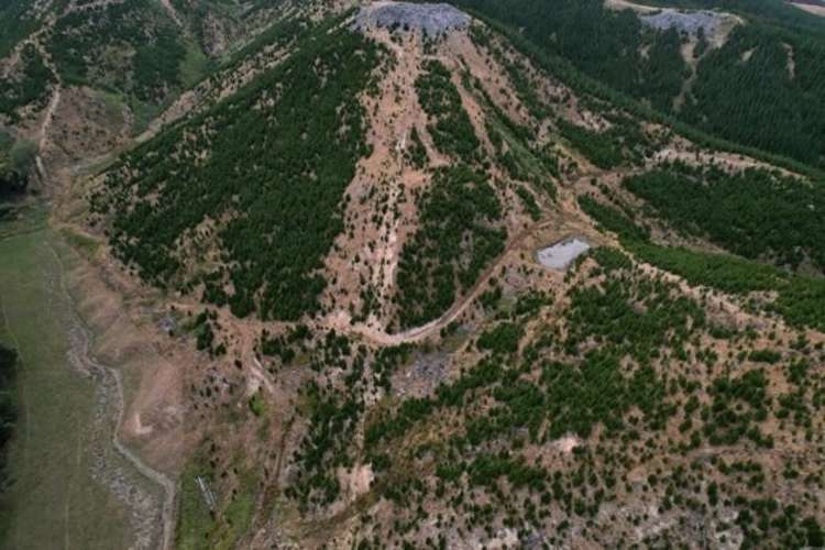 3525 Masterton Castlepoint Road Mangapakeha_3