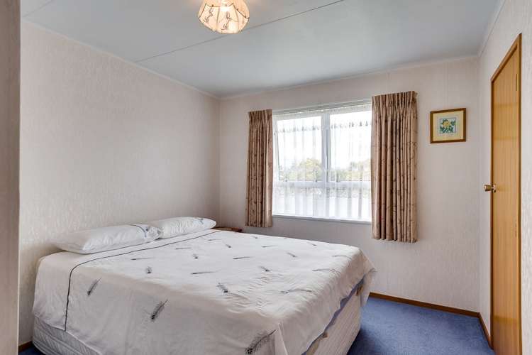 31 Plunket Street Tamatea_6