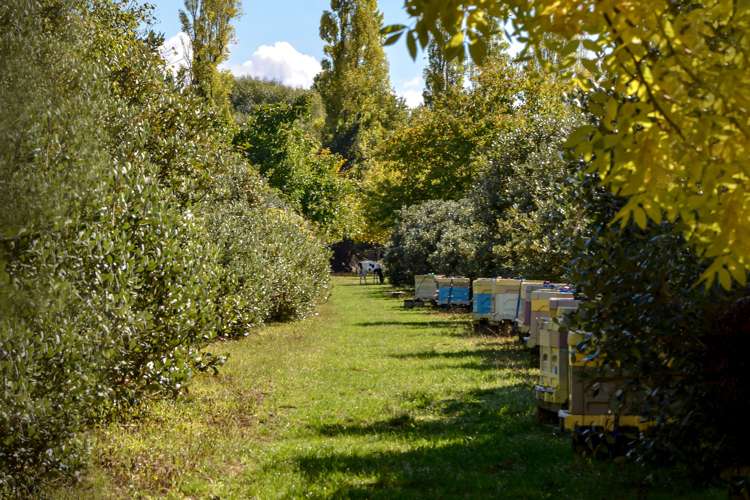 48a Nursery Road Masterton_22