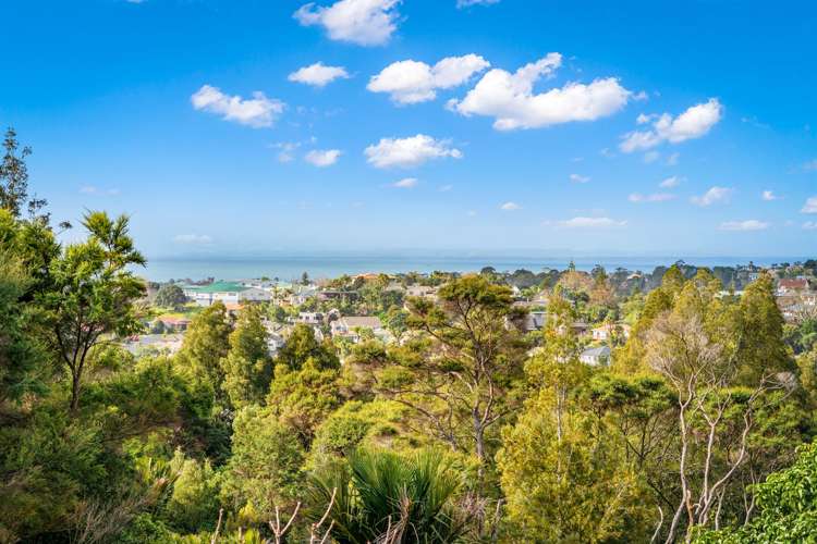 67 Fitzwilliam Drive Torbay_14