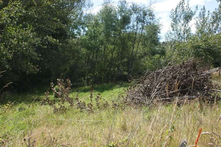 21 Farm Street Lumsden_1