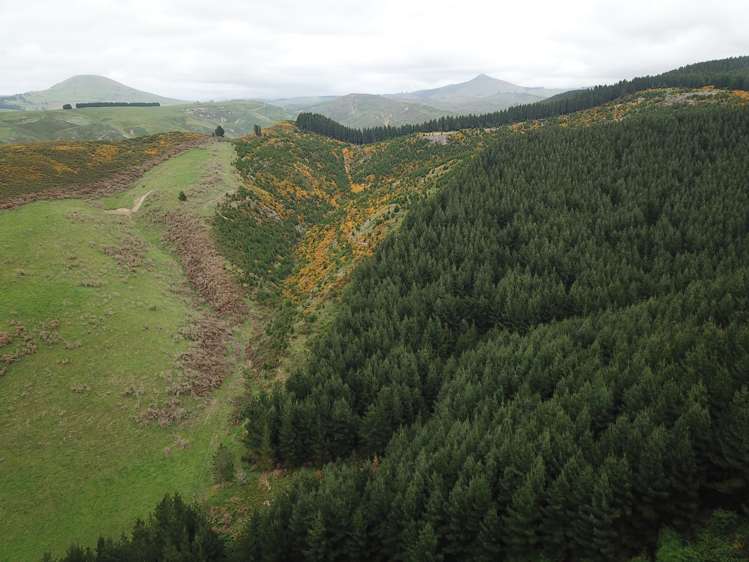 Palmerston-Waikouaiti Road Palmerston_0