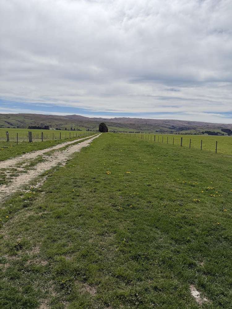 5582 Wedderburn-Becks Road and 755-971 Linnburn Runs Road Hills Creek_40