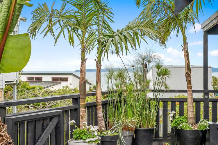 201 Mahurangi East Road Snells Beach_5