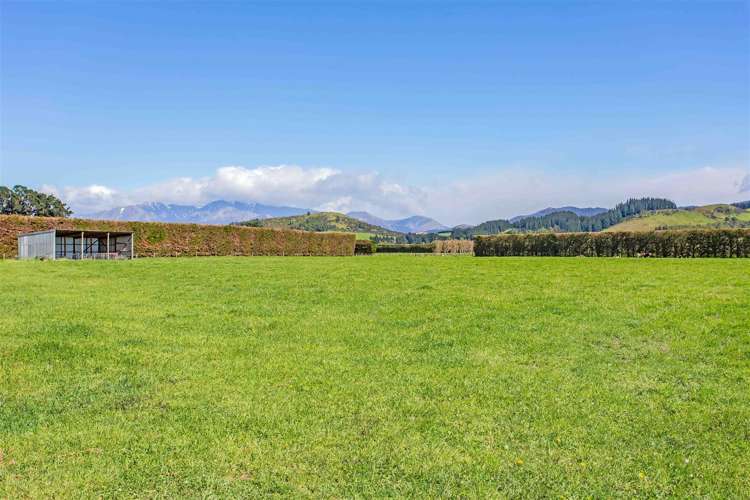 432 Island Road Oxford_15