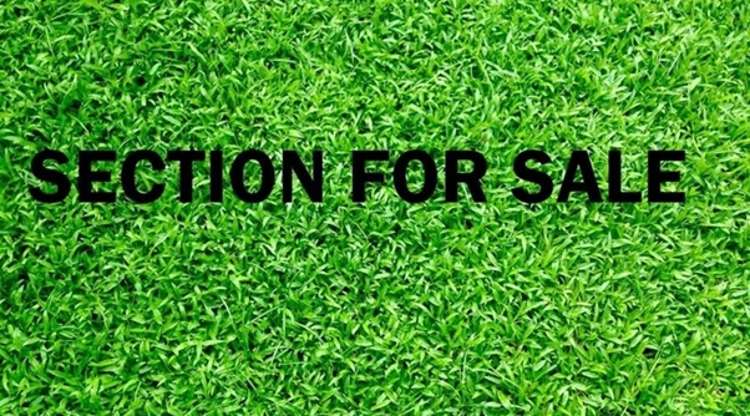 72 Tahetoka Street_0