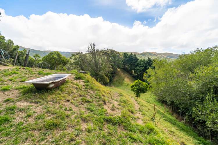 268 Stratton Street Normandale_26