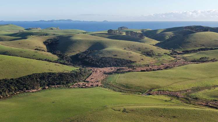 1811 Rangihoua Road Kerikeri_29