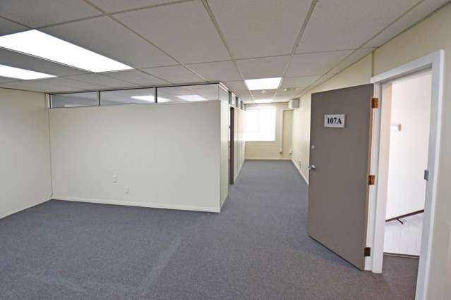 Level 1/107 Ti Rakau Drive Pakuranga_2