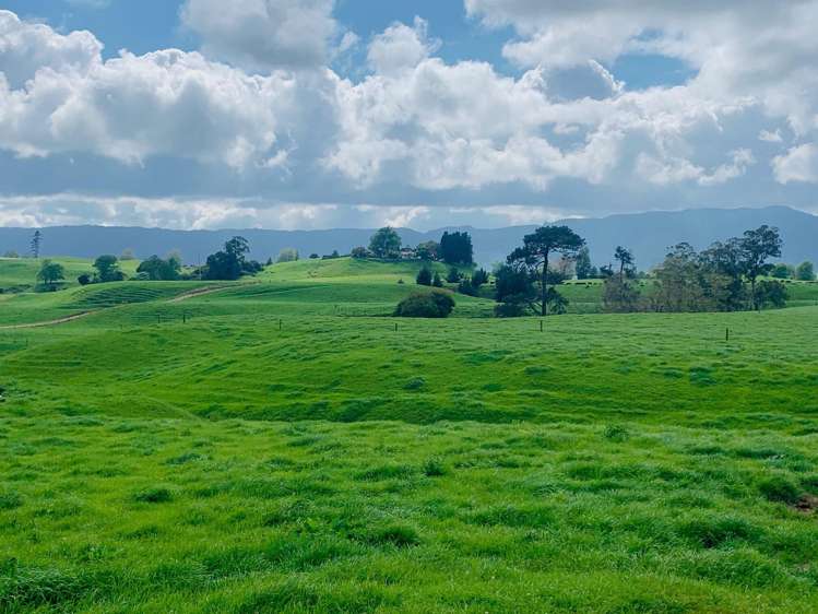 289/296 Tauranga Road Matamata_23