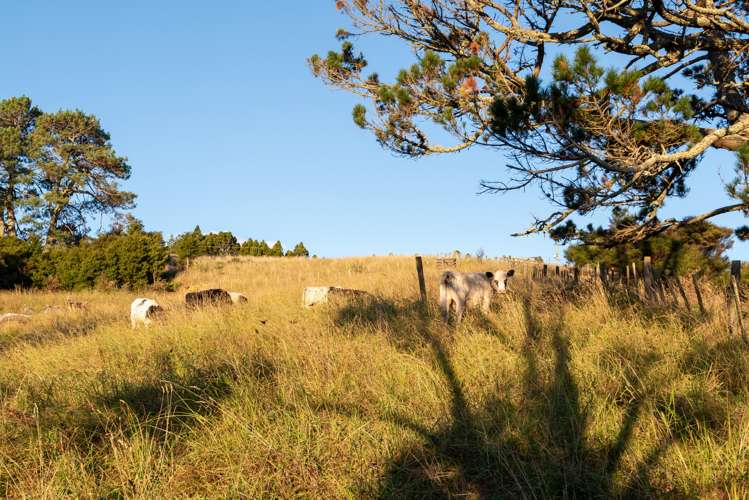 896 Haruru Road Wainui_37