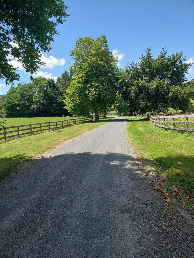 3/103 Maungakawa Road Cambridge_10