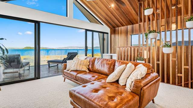 239 The Esplanade Petone_3