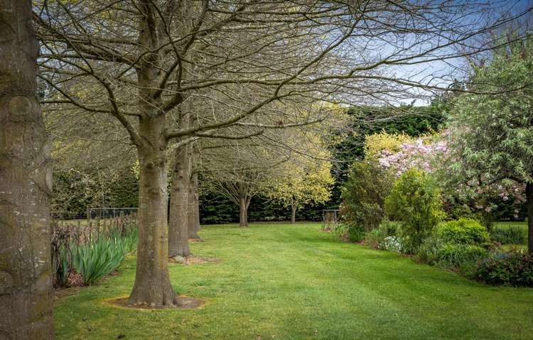 87 Halkett Road West Melton_25