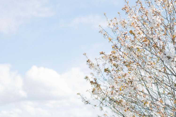 Rowallan Road Darfield_39