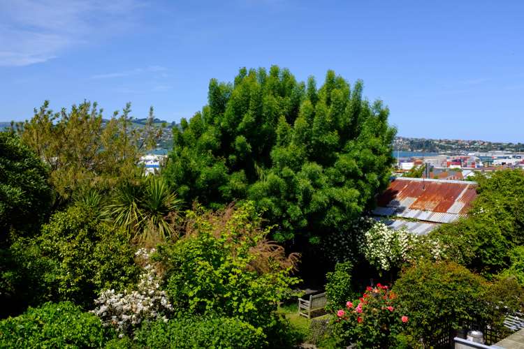 48 Melville Street Dunedin Central_11