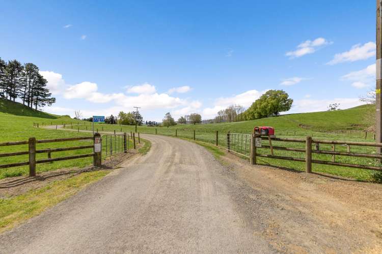 58 Nicholson Road Piarere_25