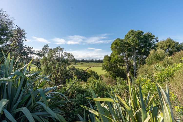 29 Edgeview Crescent Fitzroy_1