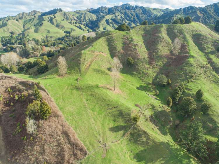 5298 State Highway 4 Waimiha-Ongarue_15