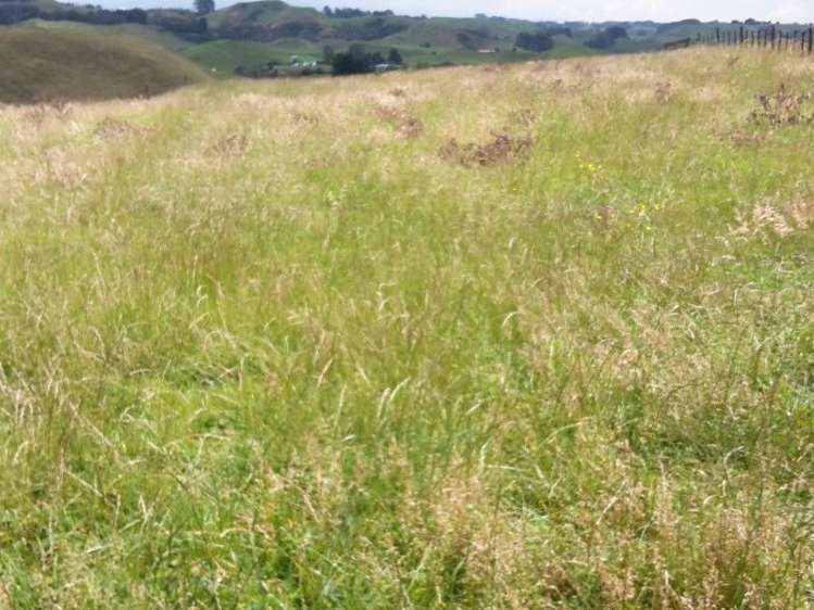 446 Stanley Road Te Popo_36