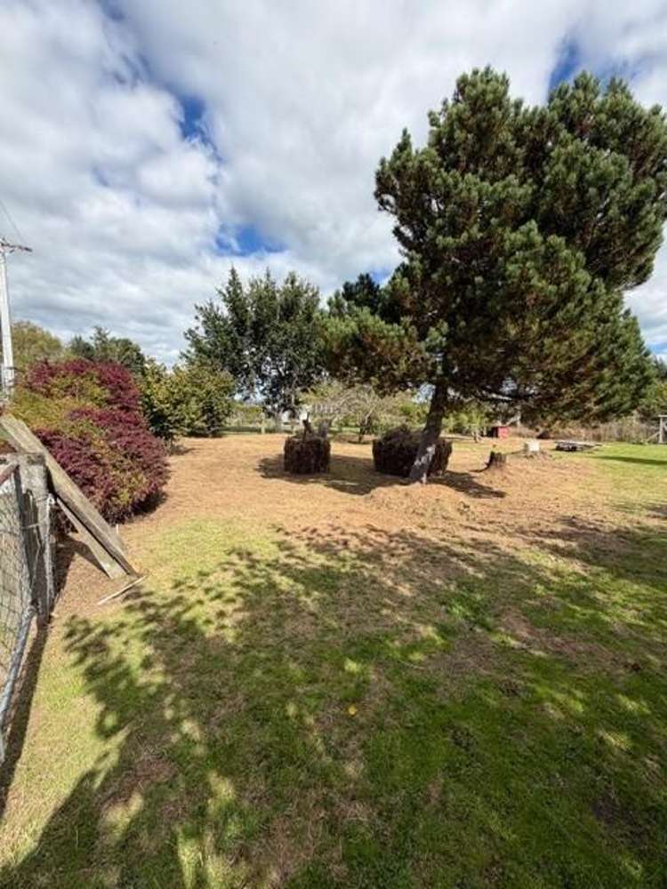 18, 20, 22 Lyne Street Nightcaps_21