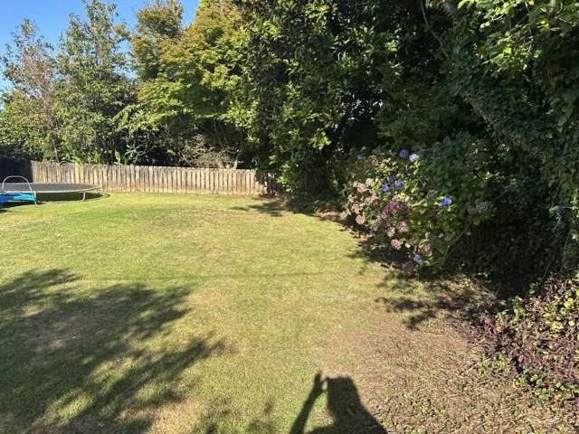 352 Manutahi Road Lepperton_3