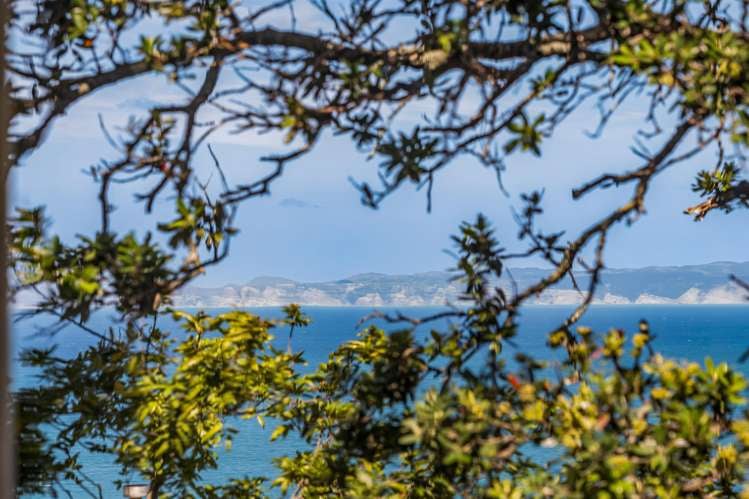 14 Elizabeth Road Bluff Hill_22