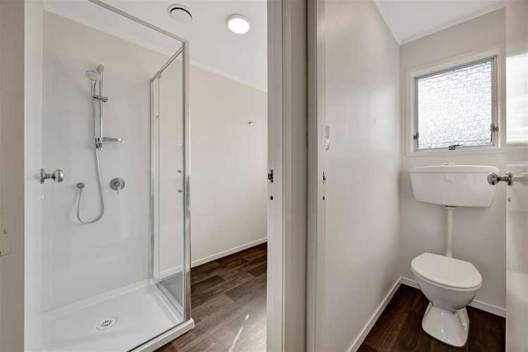 58 Rodney Street Nawton_13