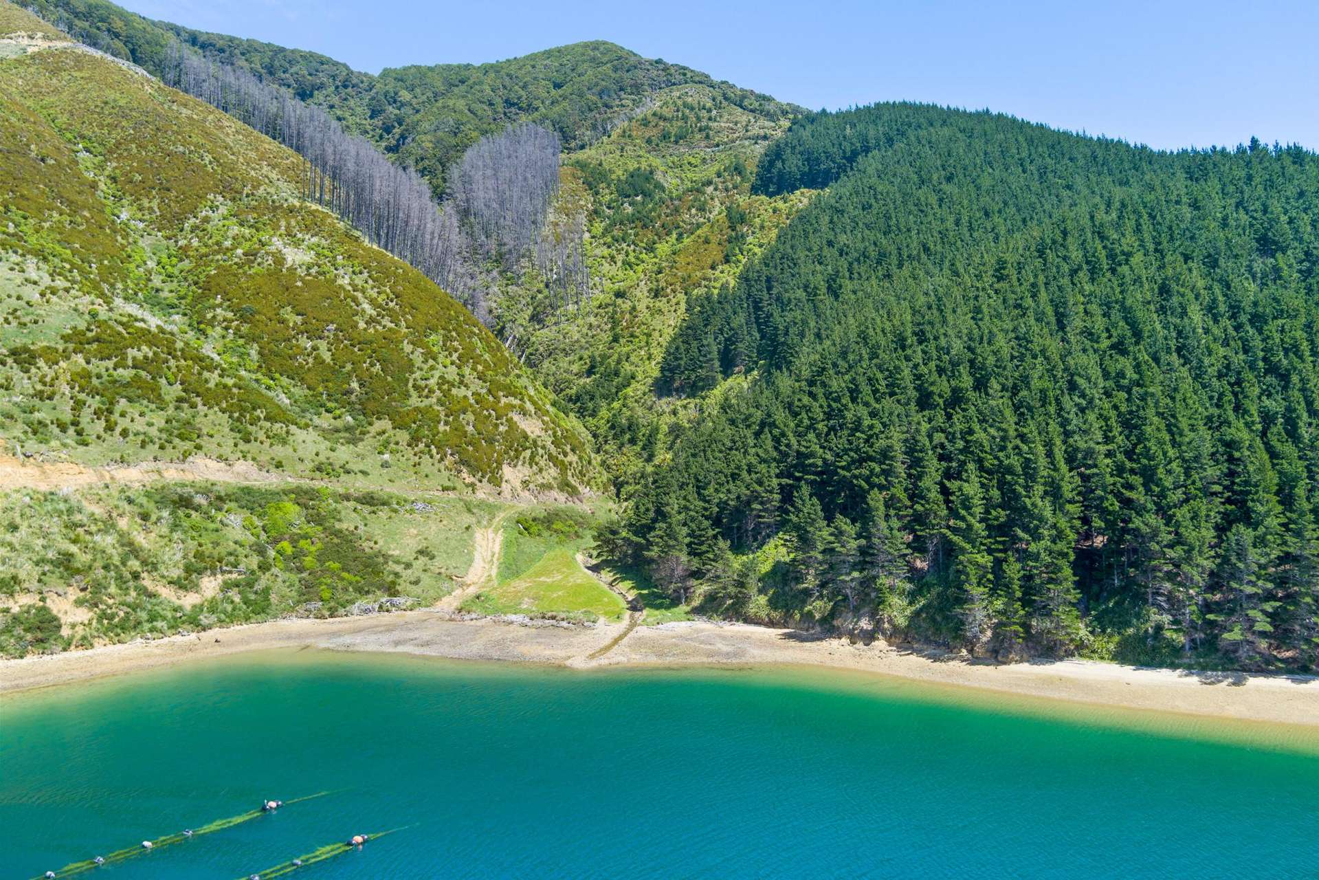 815 Manaroa Road Marlborough Sounds_0