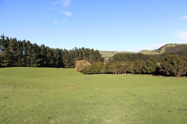 2/98 Millstream Road Dannevirke_2