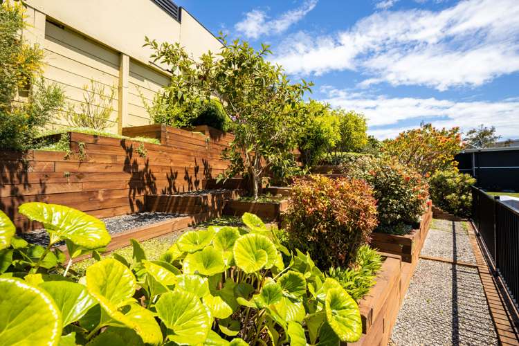 70 Karamea Street Whalers Gate_11