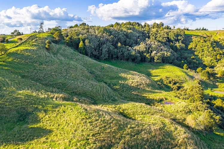 61A Porter Road Paparoa_9