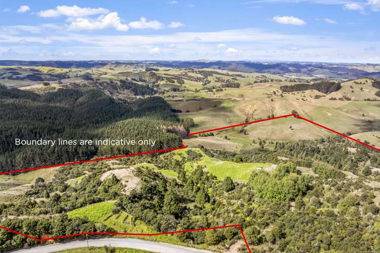 808 Kaipara Hills Road Warkworth_6