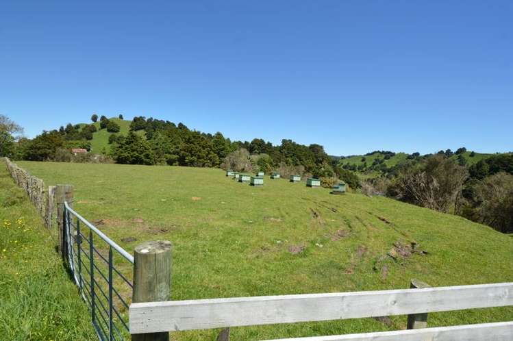 449 Pungapunga Valley Road Taumarunui_25